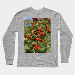 Mountain ash, nature, tree Long Sleeve T-Shirt